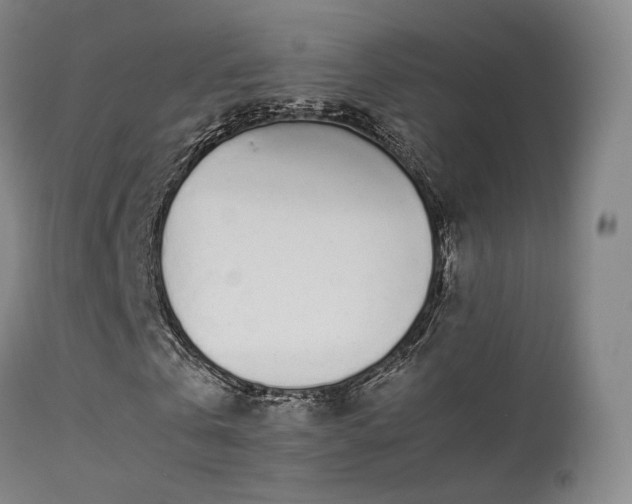 X0000113260769200909171649