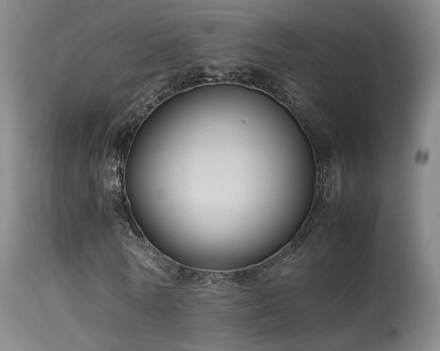 X0000113260770200909171649