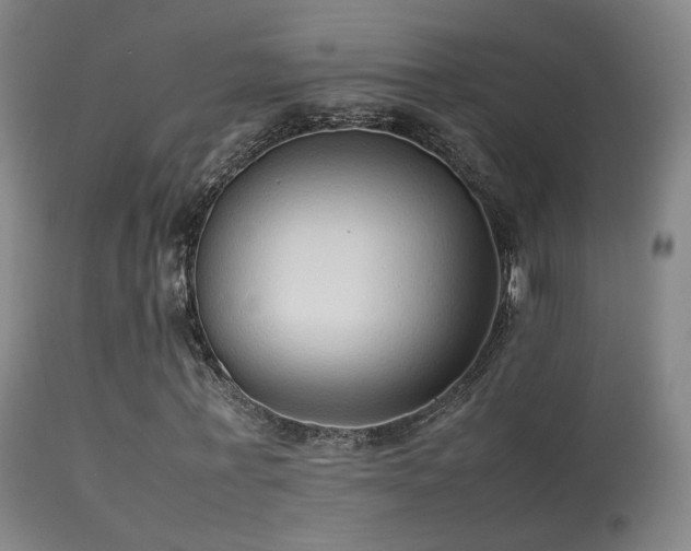 X0000113260771200909171649