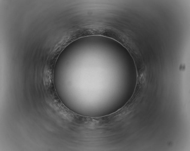 X0000113260772200909171649