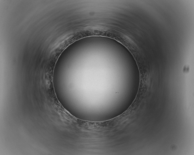 X0000113260774200909171649