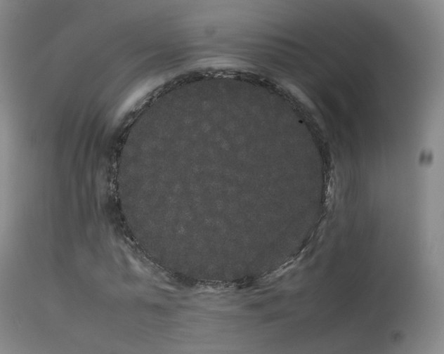 X0000113260775200909171649