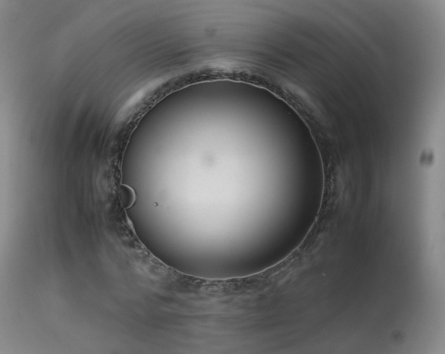 X0000113260776200909171649