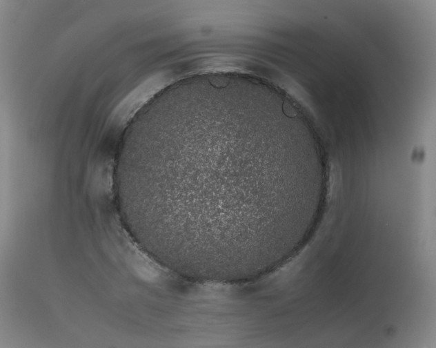 X0000113260777200909171649