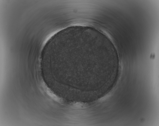 X0000113260779200909171649