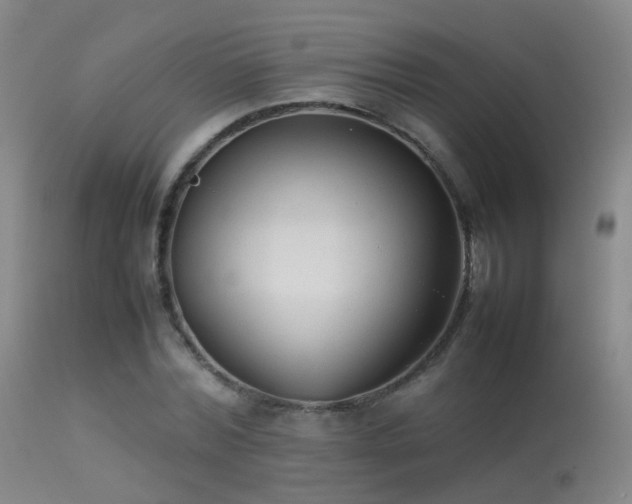 X0000113260780200909171649