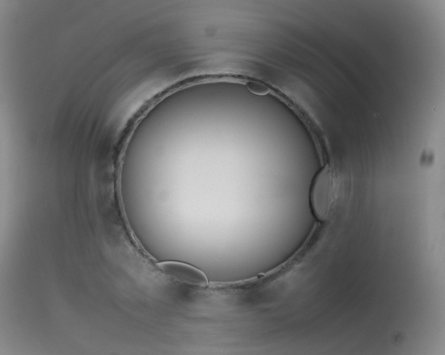 X0000113260781200909171649