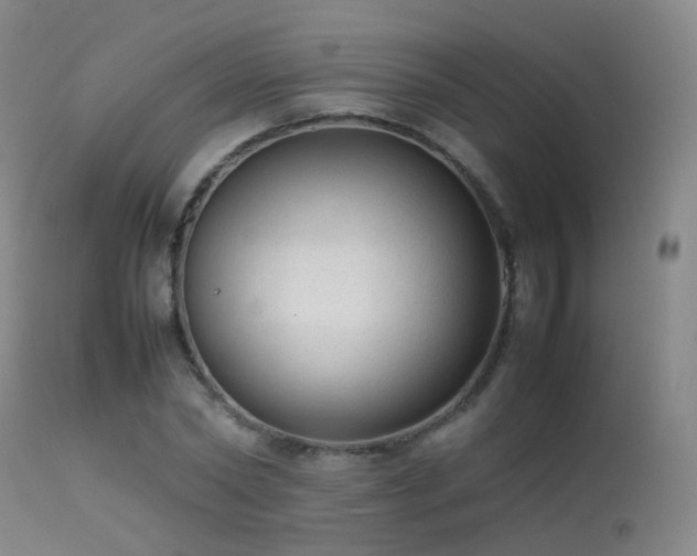 X0000113260782200909171649