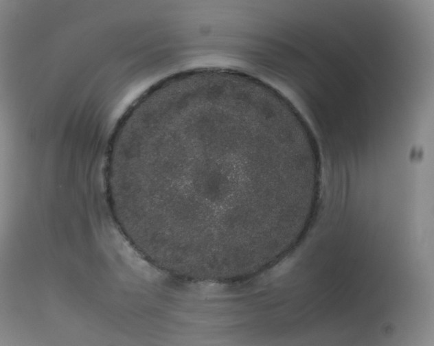 X0000113260783200909171649