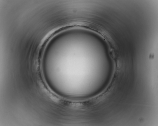 X0000113260784200909171649