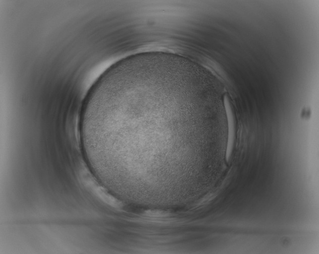 X0000113260788200909171648