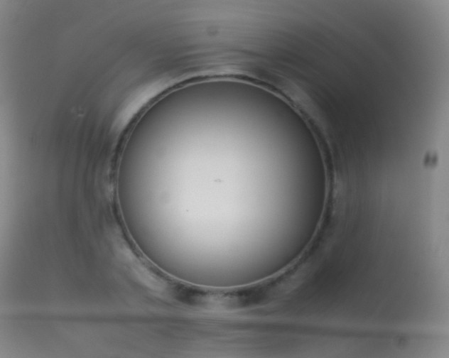 X0000113260789200909171648