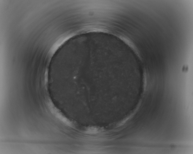 X0000113260790200909171648