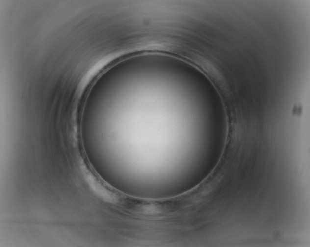 X0000113260792200909171648