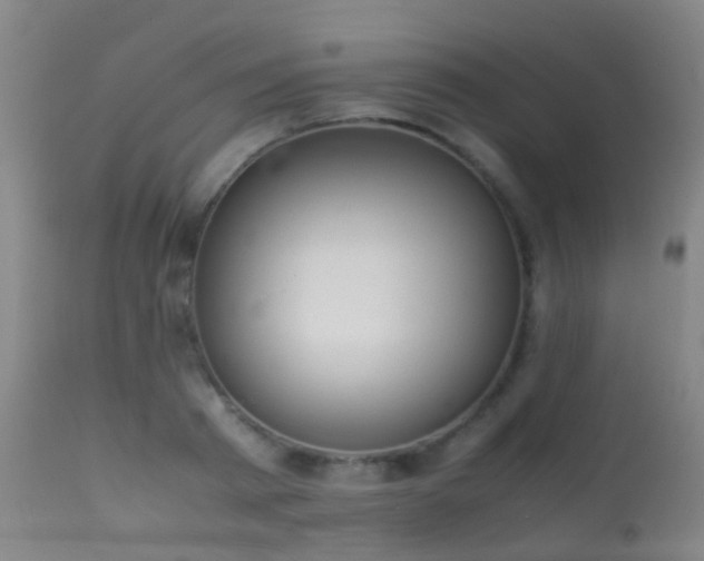 X0000113260793200909171648