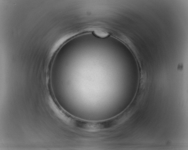 X0000113260795200909171648