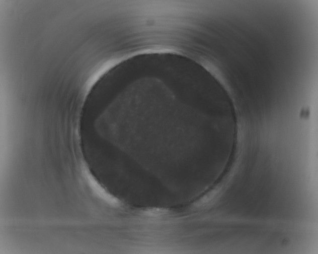 X0000113260797200909171648