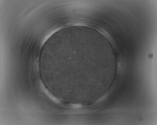 X0000113260798200909171648