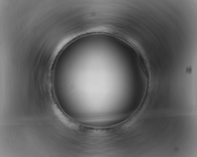 X0000113260800200909171648