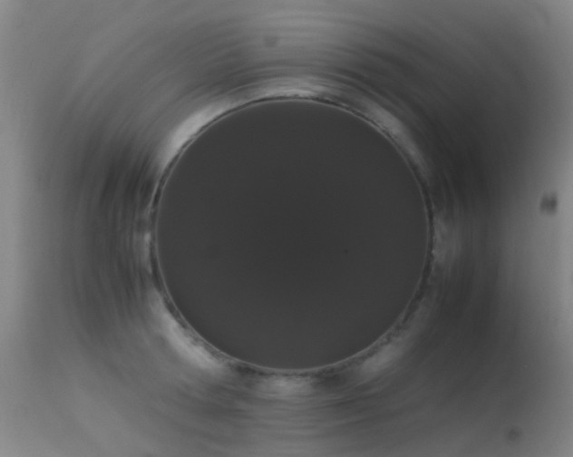 X0000113260802200909171648