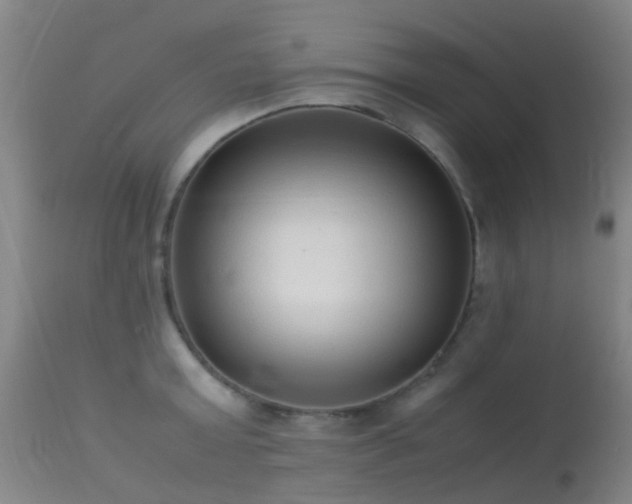 X0000113260803200909171648