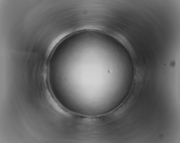 X0000113260804200909171648