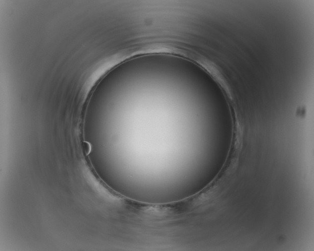 X0000113260805200909171648