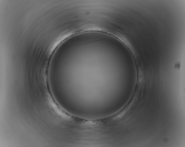 X0000113260806200909171648