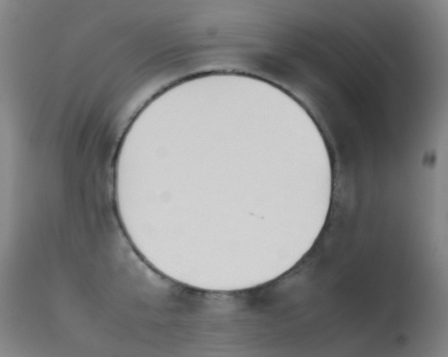 X0000113260807200909171648