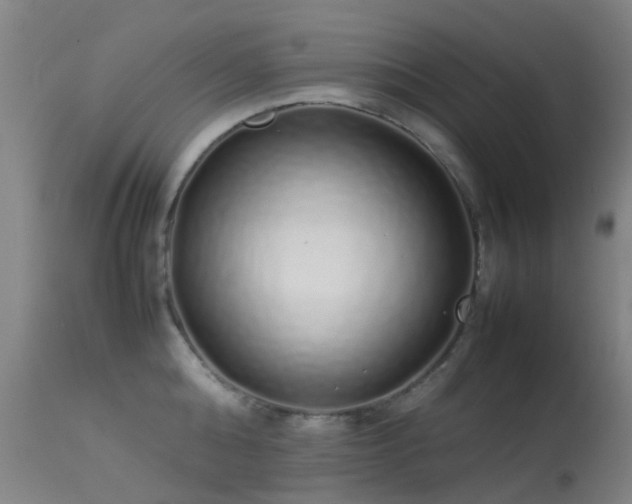 X0000113260808200909171648