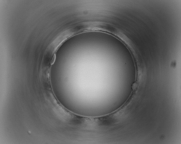 X0000113260809200909171648