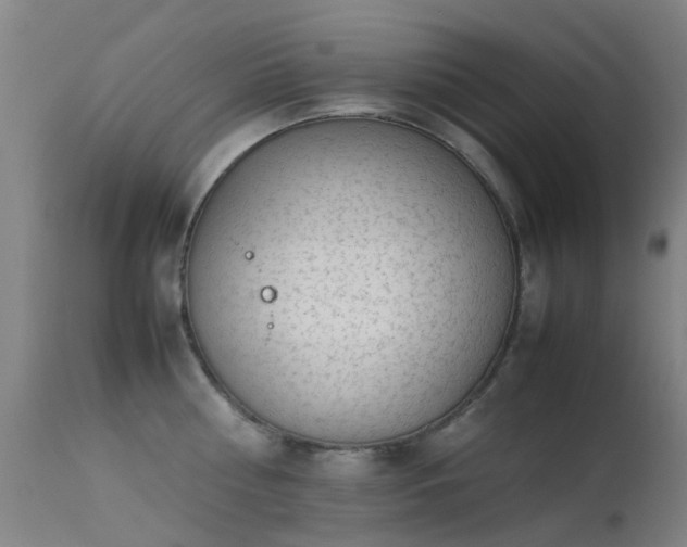 X0000113260810200909171648