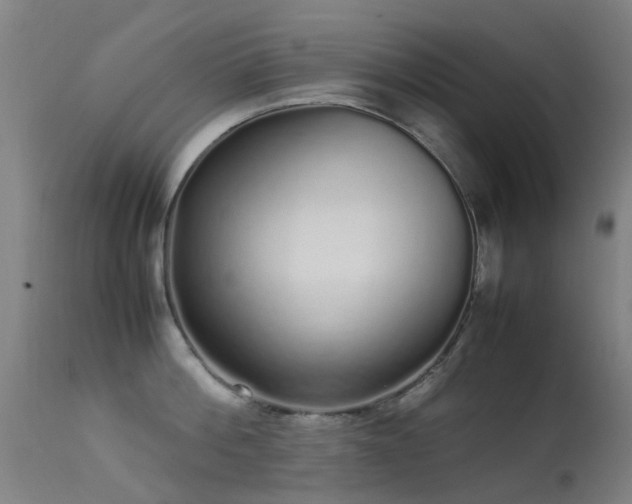 X0000113260812200909171648