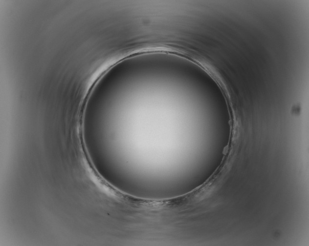 X0000113260813200909171648