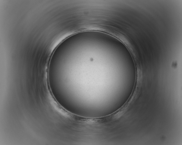 X0000113260814200909171648