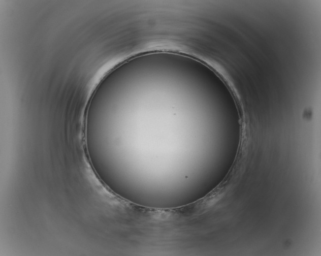 X0000113260815200909171648