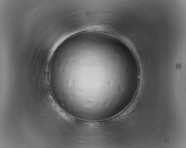 X0000113260816200909171648