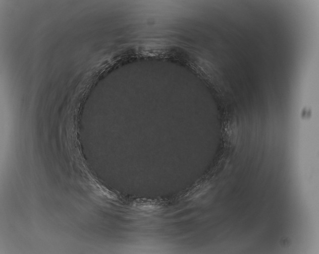 X0000113260817200909171647