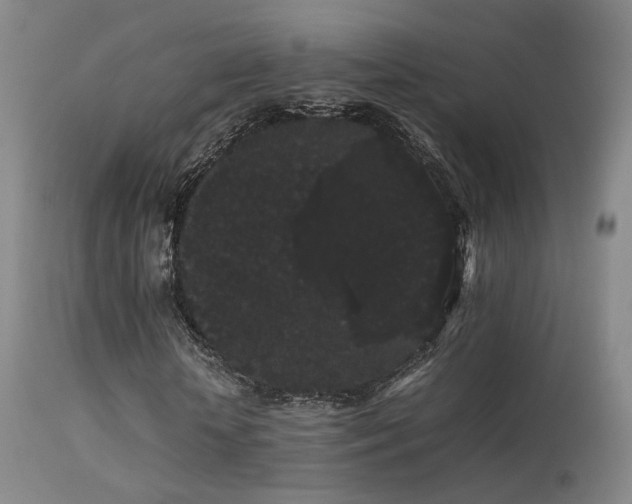 X0000113260818200909171647