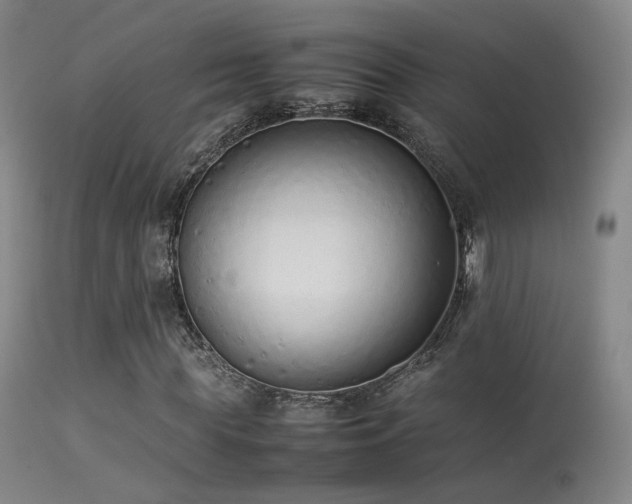 X0000113260819200909171647