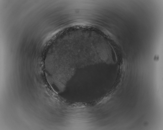 X0000113260822200909171647