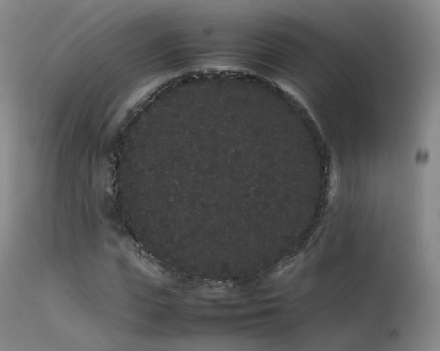 X0000113260823200909171647