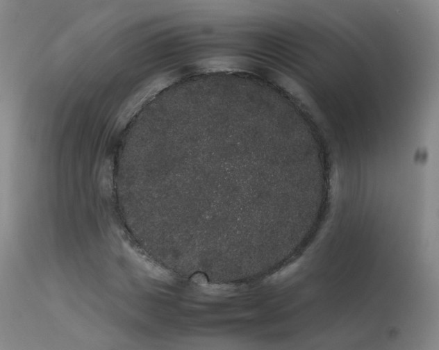 X0000113260825200909171647