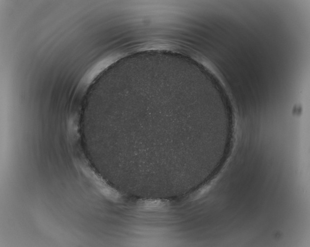 X0000113260826200909171647