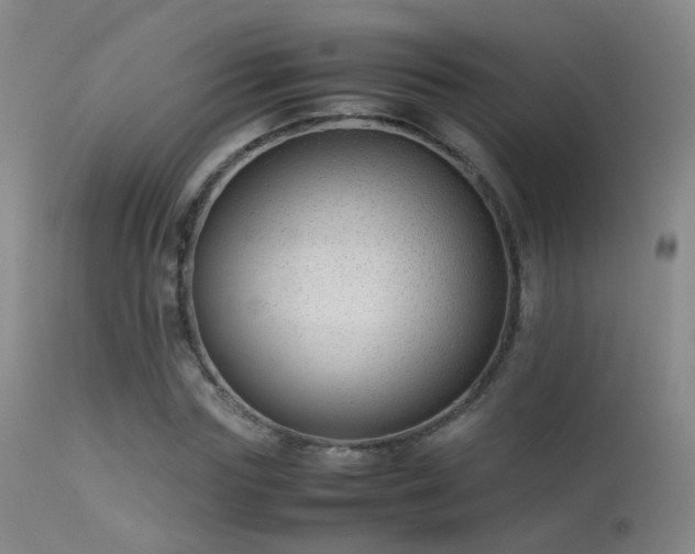 X0000113260827200909171647