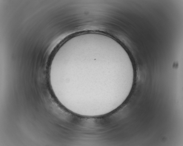 X0000113260828200909171647