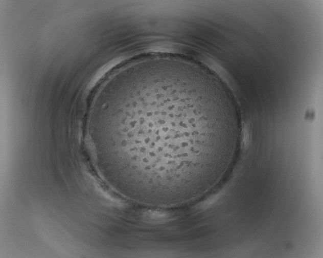 X0000113260829200909171647