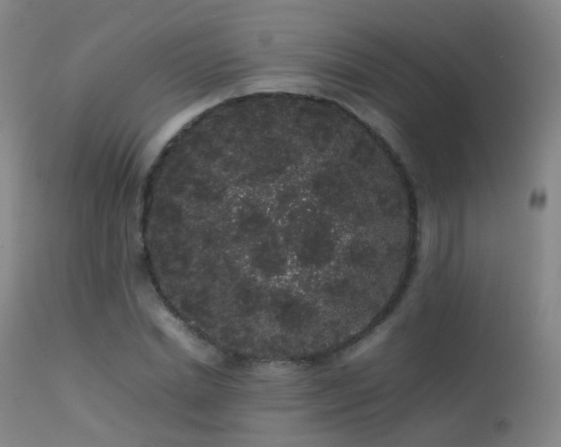 X0000113260830200909171647