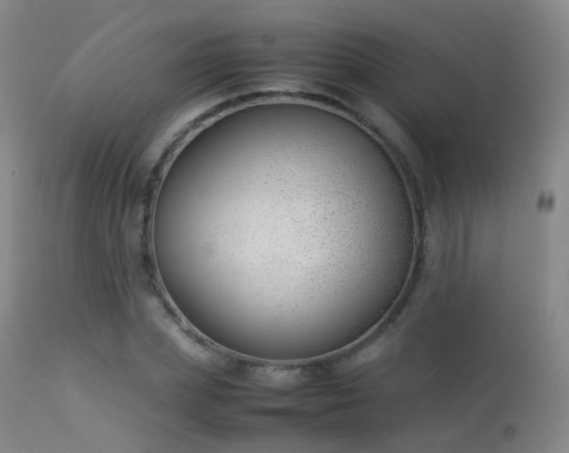 X0000113260831200909171647