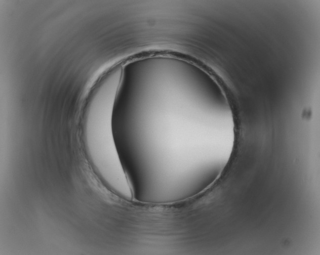 X0000113260832200909171647